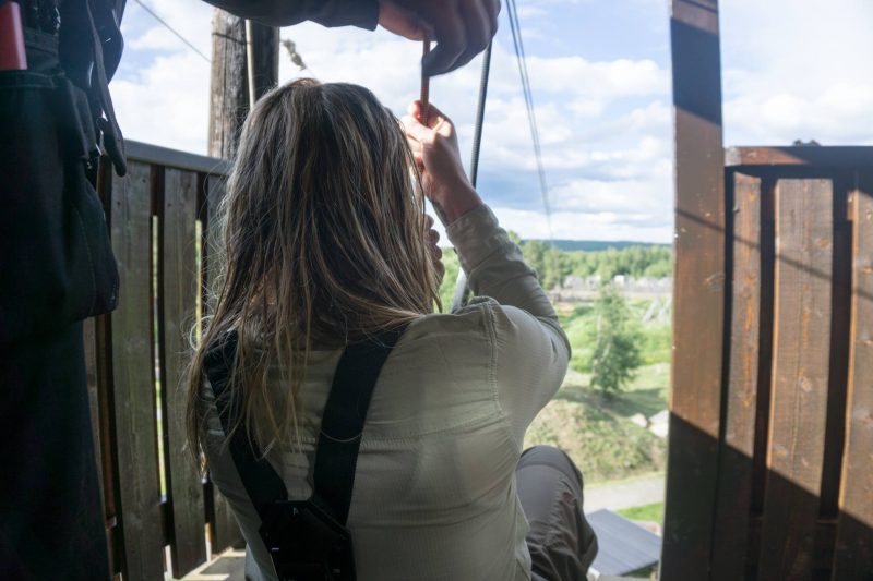 zipline 2